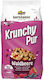 Barnhouse Bio Γκρανόλα Βρώμης Crunchy Φρούτα Του Δάσους και Μούρα 375gr