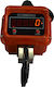Electronic Professional Hanging Scale with Weighing Capacity of 2000kg and Division 1000gr