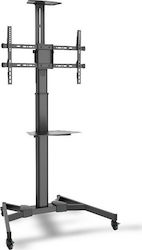 Digitus DA-90370 DA-90370 Βάση Τηλεόρασης Δαπέδου έως 70"