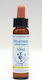 Healing Herbs Heather Ανθοΐαμα σε Σταγόνες για Χαλάρωση 10ml
