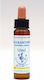Healing Herbs Scleranthus Flower Essence in Drops 10ml