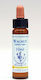 Healing Herbs Walnut Esență Florală în Picături 10ml