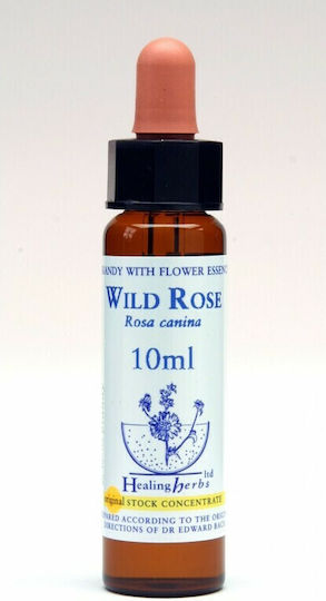 Healing Herbs Wild Rose Flower Essence in Drops 10ml