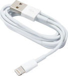 Forever USB-A zu Lightning Kabel Weiß 1.2m (T_0011856)