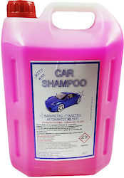 Eurochem Car Shampoo 4lt