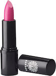 Garden Intense Color Lipstick Gloss 4.5gr