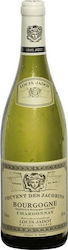 Louis Jadot Burgundia Alb Șampon Uscat 750ml Louis Jadot Burgundia Alb Șampon Uscat 750ml