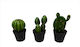 InTheBox Artificial Plant in Small Pot Cactus Black 18cm 1pcs