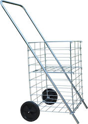 Foldable Metallic Shopping Trolley Gray