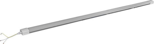 Adeleq Modern Lamp Wall with Socket T8 White 120x2.4cm