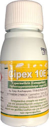 Protecta Cipex 50cc Υγρό για Μυρμήγκια / Κοριούς 50ml