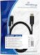 MediaRange Cable DVI-D male - DisplayPort male 2m (MRCS131)