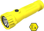 Centurion Explosive-proof Flashlight LED Waterproof IP67 with Maximum Brightness 60lm EX-6180