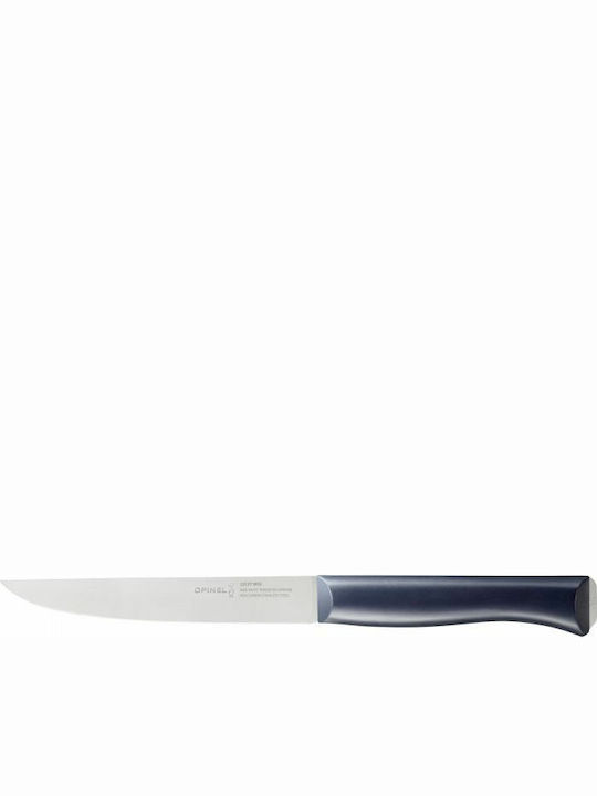 Opinel N°220 Intempora Meat Knife of Stainless Steel 16cm