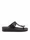 Scholl Bahia Women's Flat Sandals In Black Colour F274541004