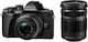 Olympus OM-D E-M10 Mark III Mirrorless Camera Micro Four Thirds (4/3") Kit (ED 14‑42mm F3.5‑5.6 II R + ED 40‑150mm F4‑5.6 R) Black