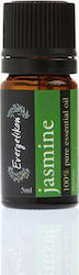 Evergetikon 100% Чисто Етерично Масло Жасмин 5ml Evergetikon 100% Чисто Етерично Масло Жасмин 5ml
