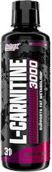 Nutrex Liquid Carnitine cu Carnitină 3000mg și Gust Explozie de fructe de pădure 480ml Nutrex Liquid Carnitine cu Carnitină 3000mg și Gust Explozie de fructe de pădure 480ml