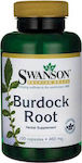 Swanson Burdock Root 460mg 100 κάψουλες