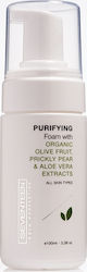 Seventeen Purifying Foam Cleansing Foam 100ml