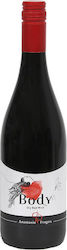 Anastasia Fragou Body Rot Trocken 750ml