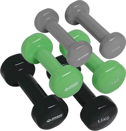 Schildkrot Vinyl Set of Dumbells 3pcs Total Weight 6kg