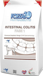 Forza10 Intestinal Colitis Phase 1 4kg