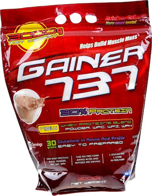 Megabol Gainer 737 with Flavor Raspberry 3kg