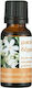 BioLeon Bio Gesichtsöl für Anti-Aging 20ml