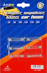 Autoline Glass Car Fuses Set Auto-Sicherungen Glas-Rundsicherungen 6Stück