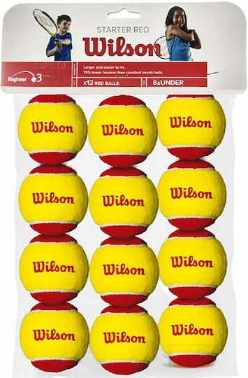 Wilson Starter Red Тенис Топки 12 Бройки