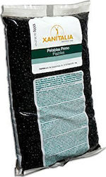 Xanitalia Idema