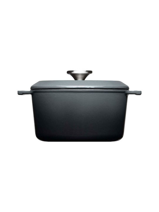 Woll Carbon Deep Pot from Cast Iron 2.8L / 20cm