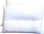 Palatex Sleep Pillow Silicone Anatomic Medium 50x70cm