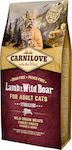 Carnilove Into The Wild Lamb & Wild Boar Hrană Uscată pentru Pisici Adulte Sterilizate cu Miel / Mistreț sălbatic 0.40kg