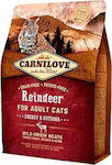 Carnilove Adult Cats Reindeer Trockenfutter für erwachsene Katzen mit Huhn 6kg