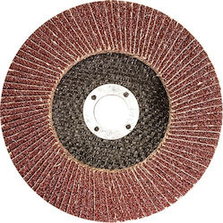 MTX Schleifscheibe 125mm P60 Schleifscheibe Metall 125mm