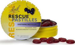 Bach Rescue Pastilles Gooseberry 50gr Bach Rescue Pastilles Gooseberry 50gr