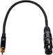 Pro snake XLR Weiblich Zu RCA Männlich Konverter 1Stück TPA 1003 FR