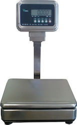Digi Systems DS-166SS/S-WQ Cantare Electronice Comerciale cu Pylon 6kg / 2gr