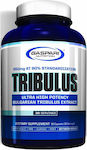 Gaspari Tribulus 90 κάψουλες