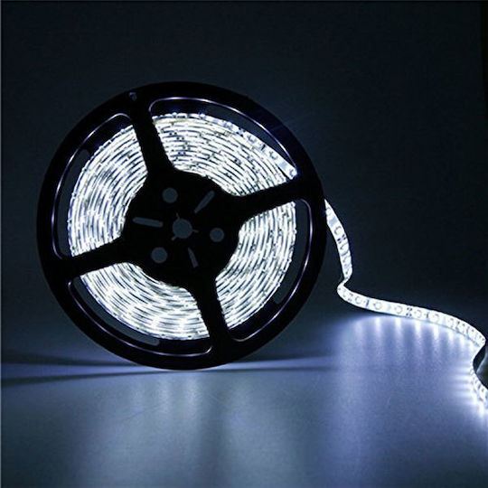 Atman Rezistent la apă Bandă LED 24V Alb Rece Lumină 5m Tip SMD5050