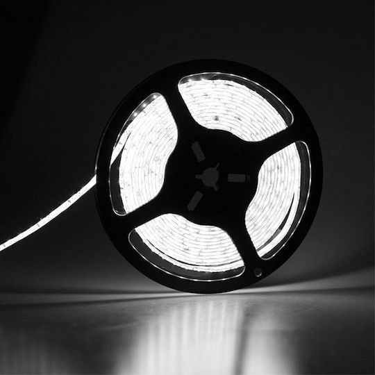 Atman Waterproof LED Strip 24V Natural White Light 5m Type SMD5050