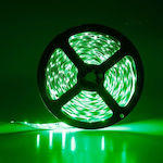 Atman Ταινία LED Πράσινο 5m SMD3528 12V