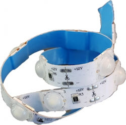 Atman Αδιάβροχη Ταινία LED 12V 5m Atman Αδιάβροχη Ταινία LED 12V 5m