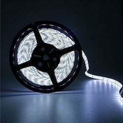 Atman Αδιάβροχη Ταινία LED 12V Ψυχρό Λευκό 5m Atman Αδιάβροχη Ταινία LED 12V Ψυχρό Λευκό 5m