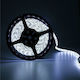 Atman Αδιάβροχη Ταινία LED 12V Ψυχρό Λευκό Φως 5m Τύπου SMD3528