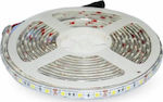 V-TAC Rezistentă la apă Bandă LED Alimentare 12V cu Lumină Alb Rece Lungime 5m și 60 LED-uri pe Metru SMD5050