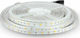 V-TAC Rezistentă la apă Bandă LED Alimentare 12V cu Lumină Alb Rece Lungime 5m și 30 LED-uri pe Metru SMD5050