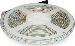 V-TAC Wasserdicht LED Streifen Versorgung 12V RGB Länge 5m und 60 LED pro Meter SMD5050